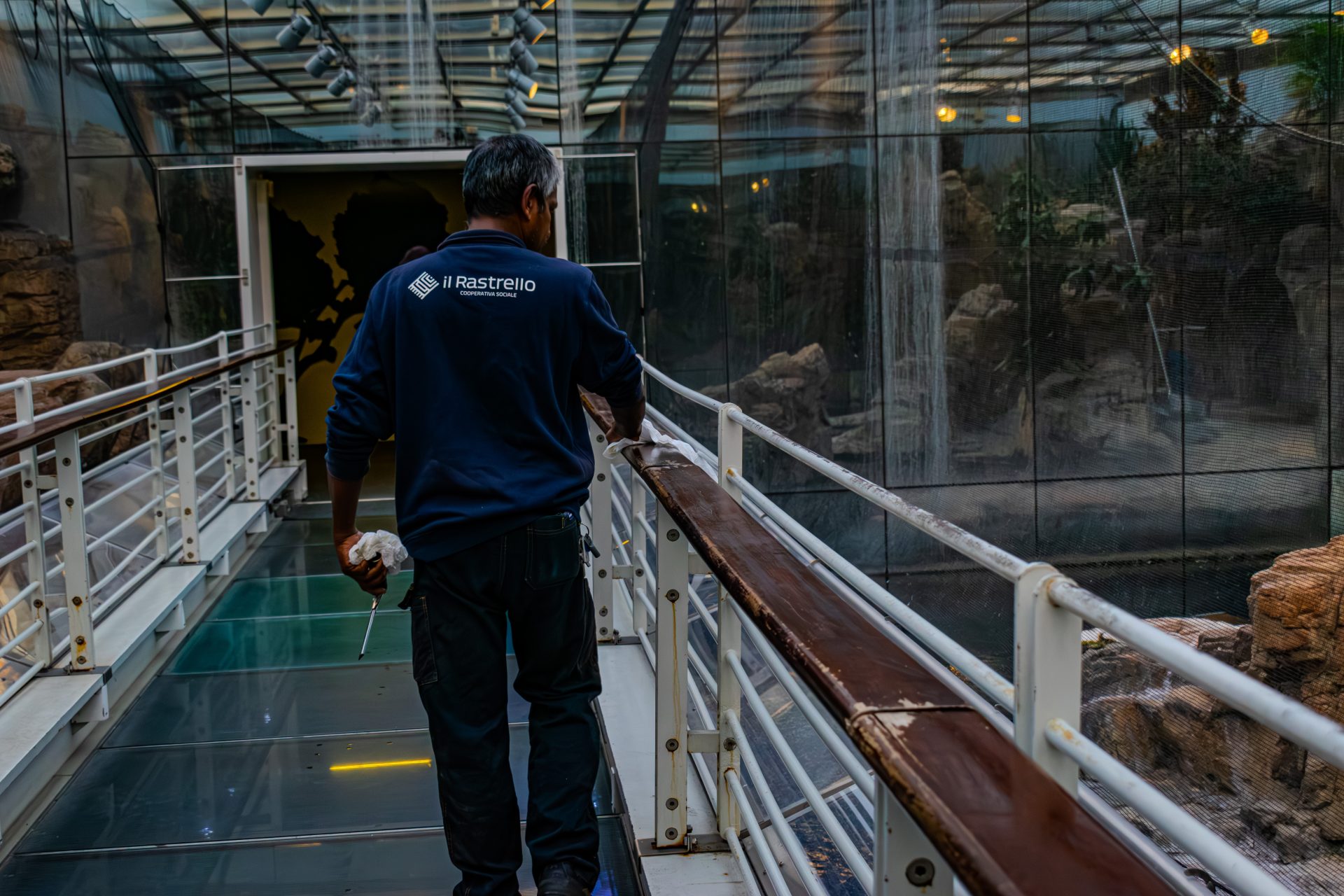 Pulizia Acquario di Genova